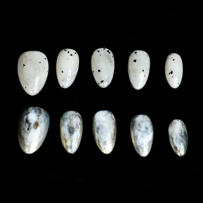 Hands showcasing We Do Nails Marble and Speckled Press On Nails, almond-shaped with a high-gloss shine and scattered speckles, perfectly highlighted against a solid black background.